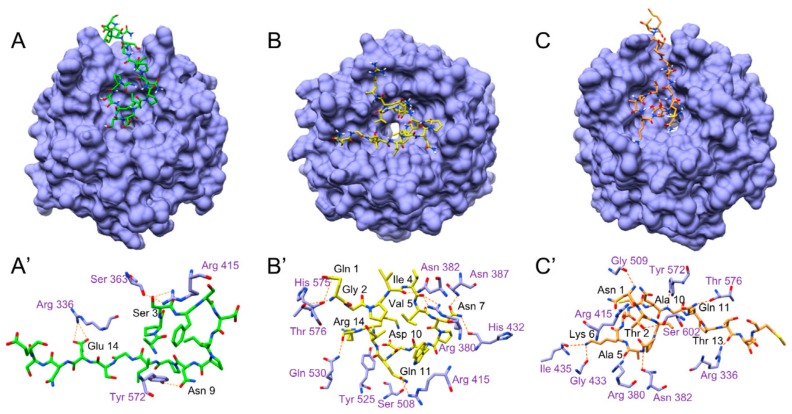 Figure 7