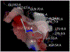 Fig. (5).