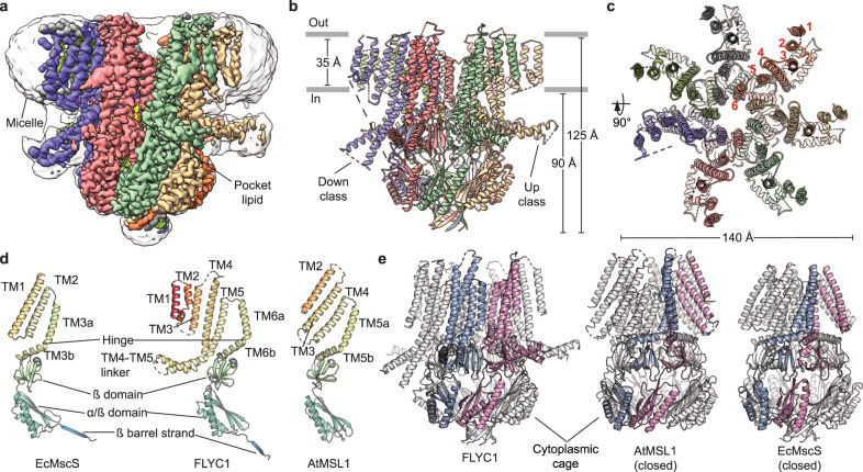 Fig. 1