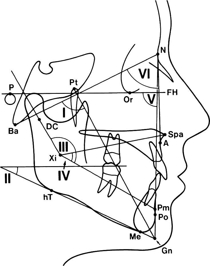 Fig. 1