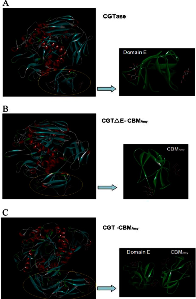 Fig 7