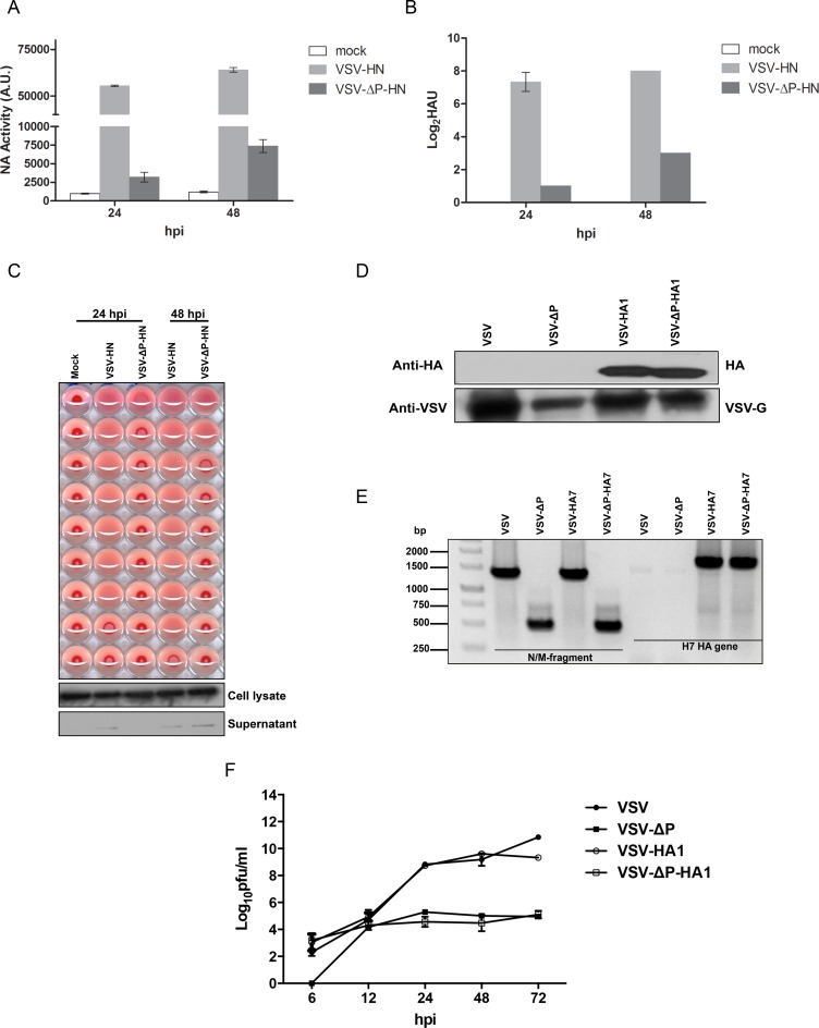 Fig 4