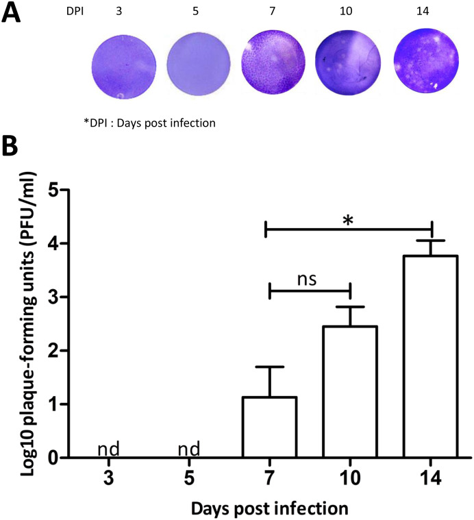 Fig 3