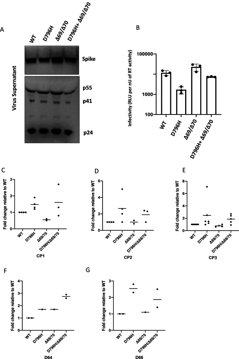 Figure6: