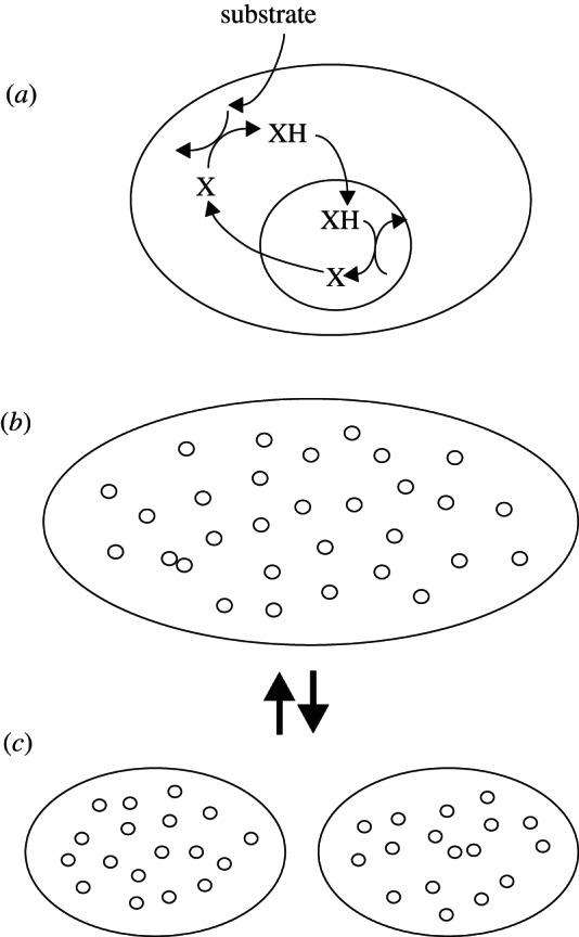 Figure 3.