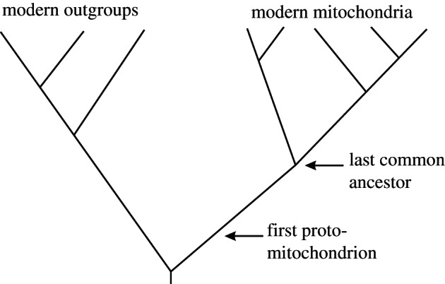 Figure 2.