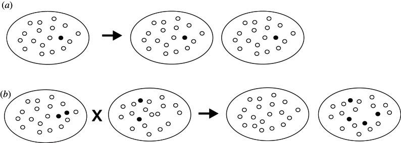 Figure 4.