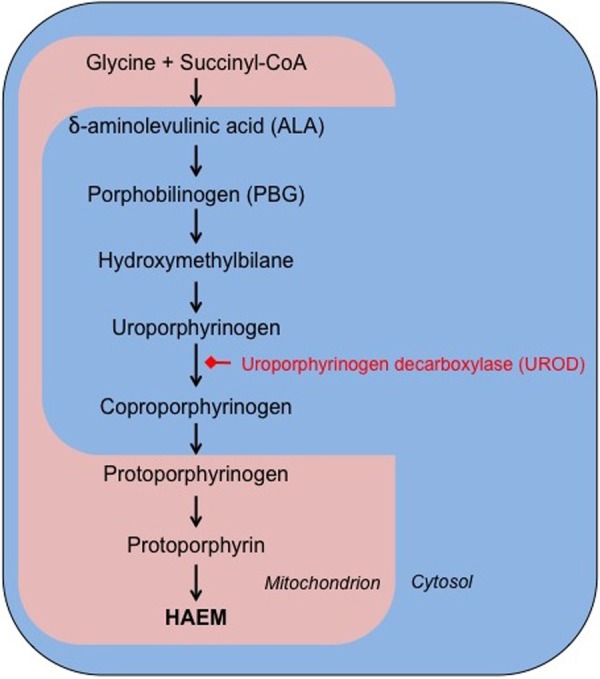 Figure 6