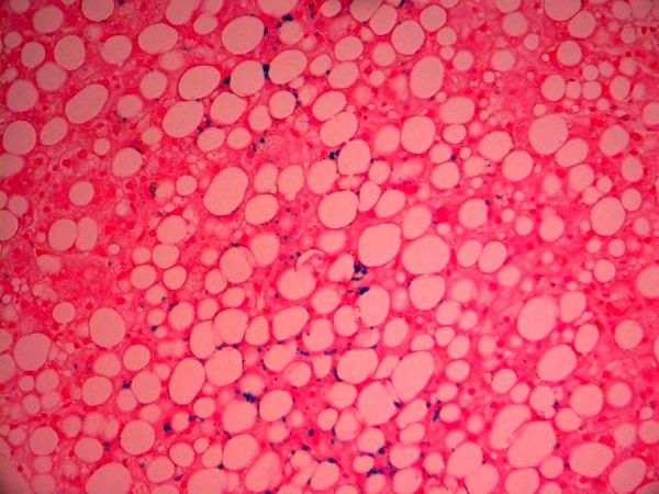 Figure 5