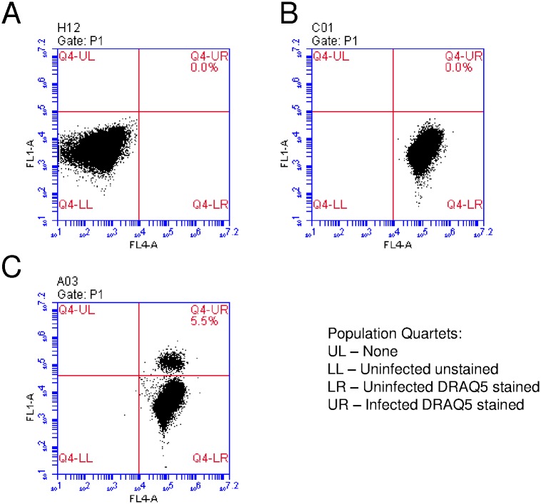 Fig 2