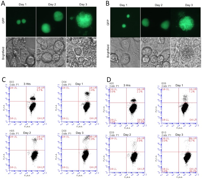 Fig 6