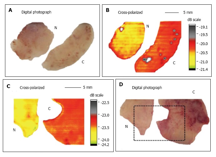 Figure 12