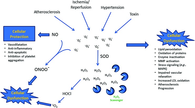 FIG. 7.