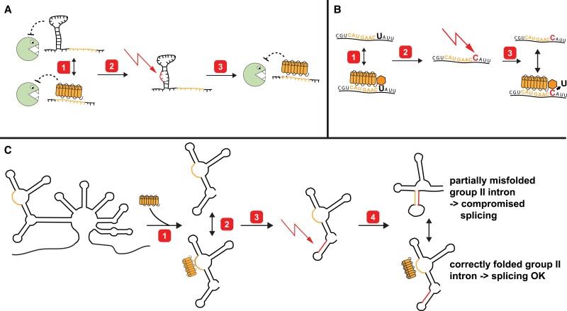 Figure 4.