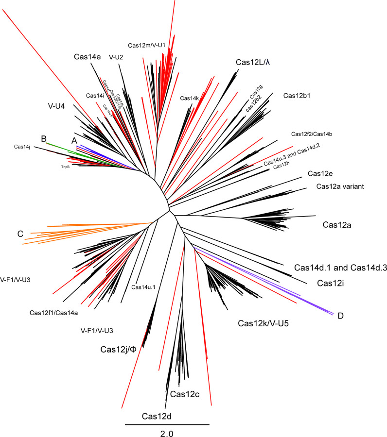 Figure 4: