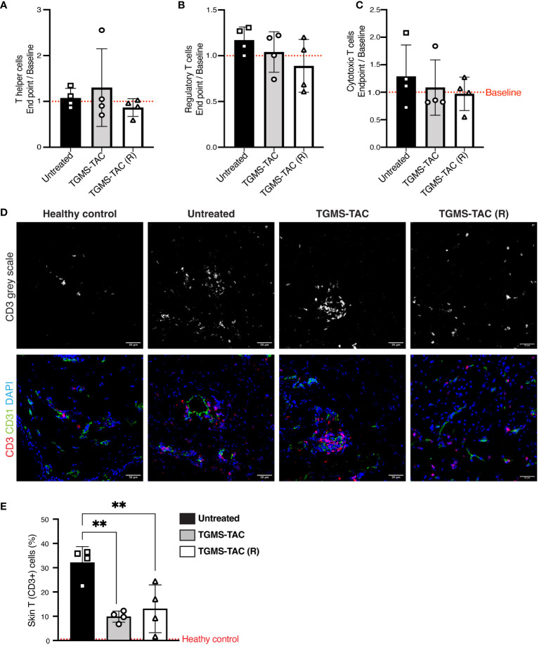 Figure 6