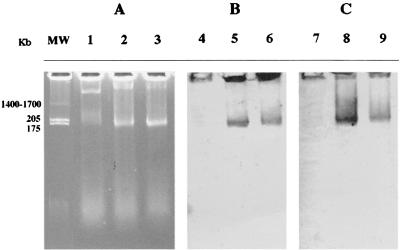 FIG. 5.