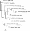 FIG. 2.