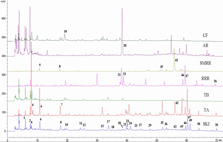 Fig 2