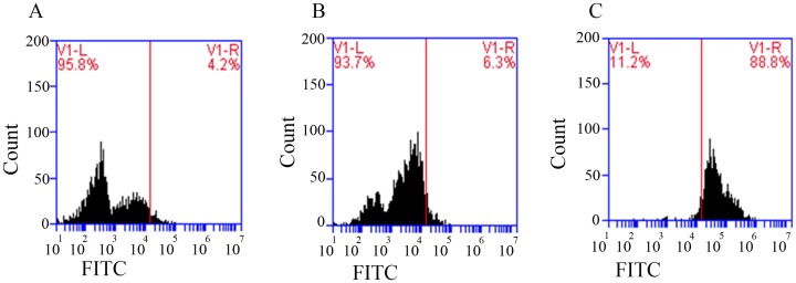 Fig 8