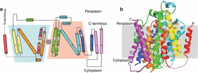 Fig. 7