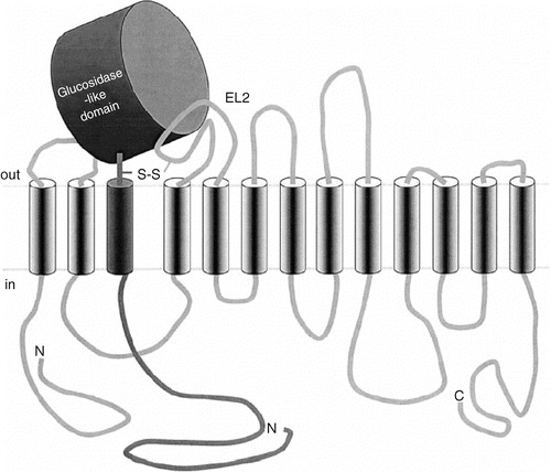 Fig. 3