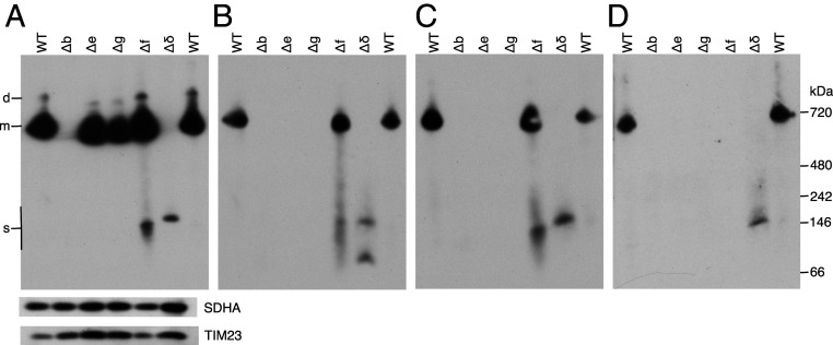 Fig. 5.