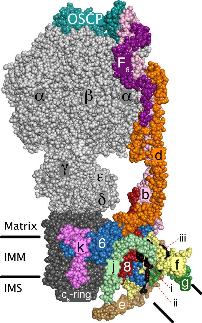 Fig. 1.