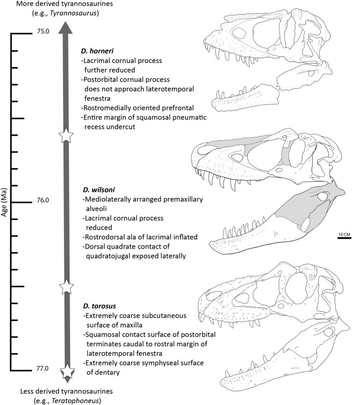 Figure 13