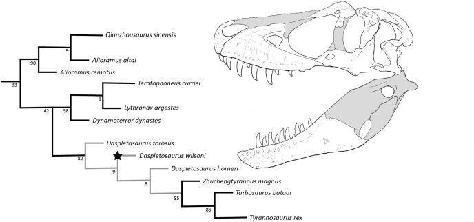 Figure 12