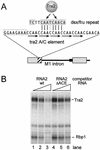 FIG. 7.