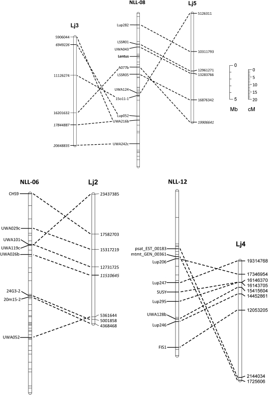 Figure 3