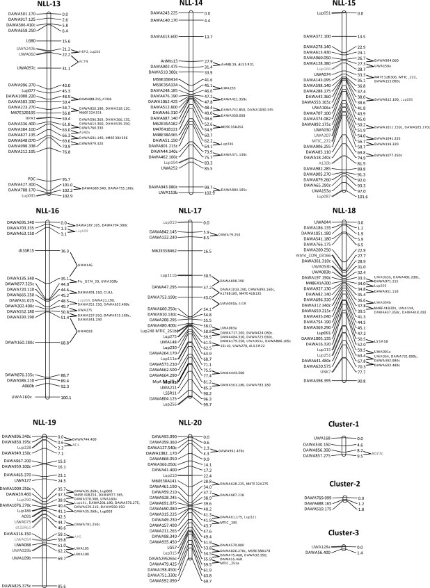 Figure 1