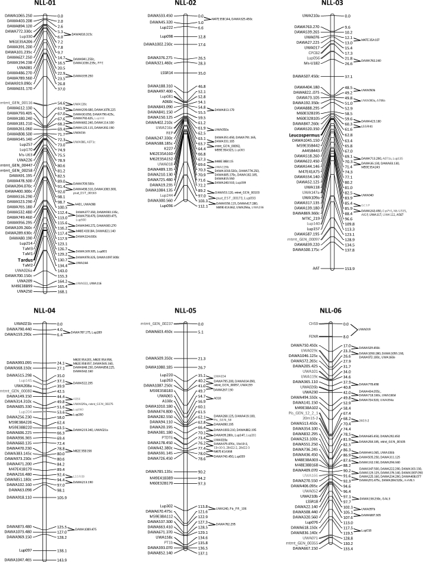 Figure 1