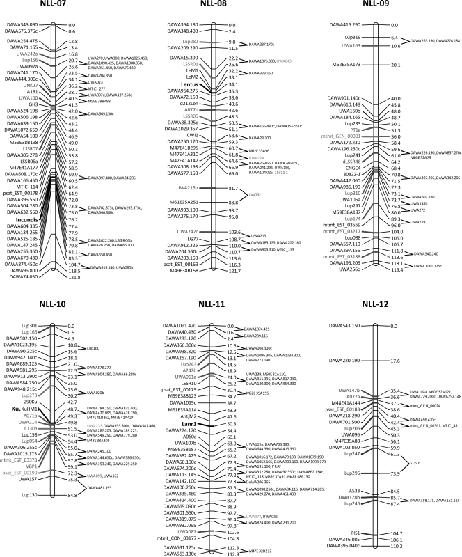 Figure 1