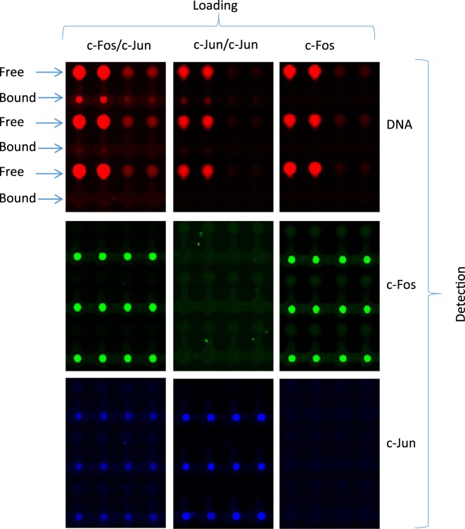 Figure 4.