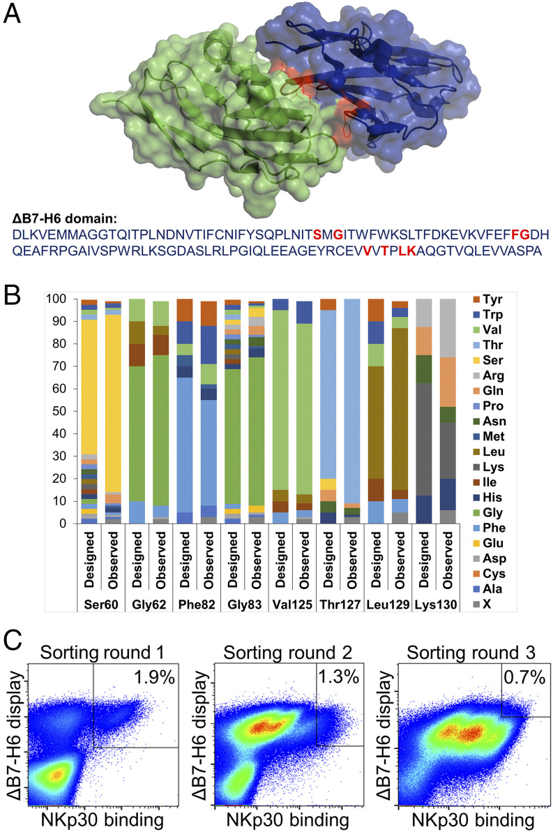 FIGURE 2.