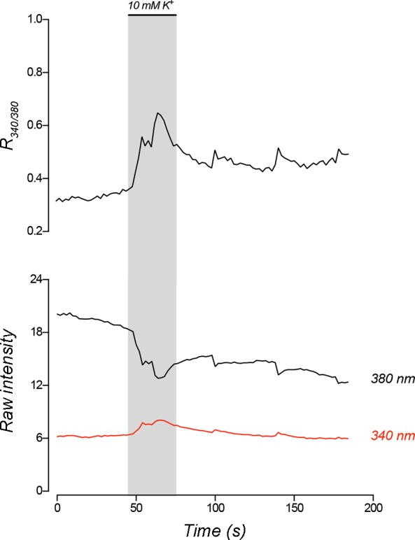 Fig. 8.