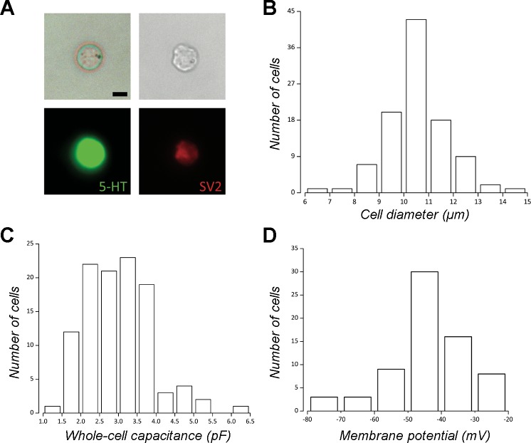 Fig. 1.