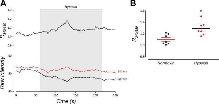 Fig. 7.