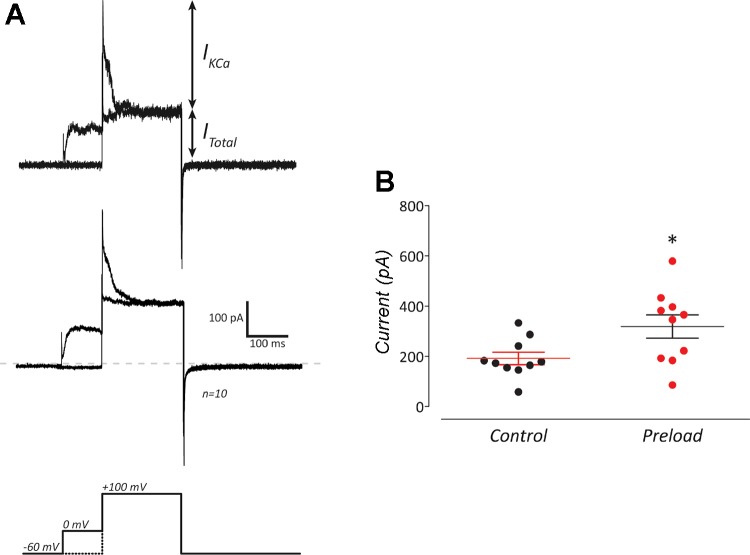 Fig. 3.