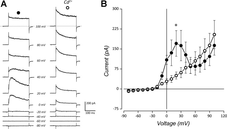 Fig. 4.