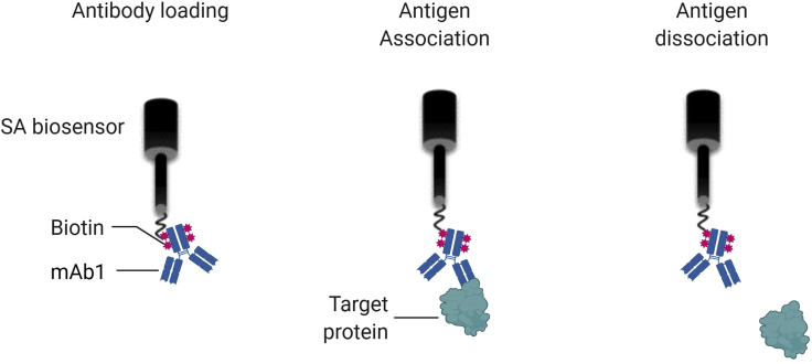 Figure 2