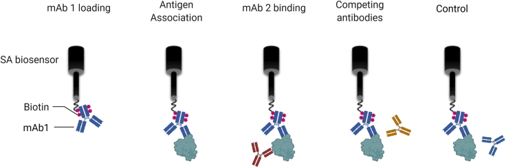 Figure 5