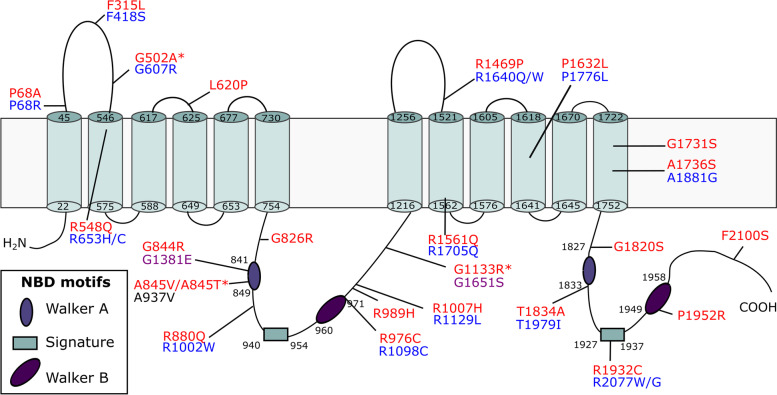 Fig. 2