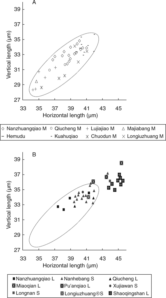 Fig. 10.