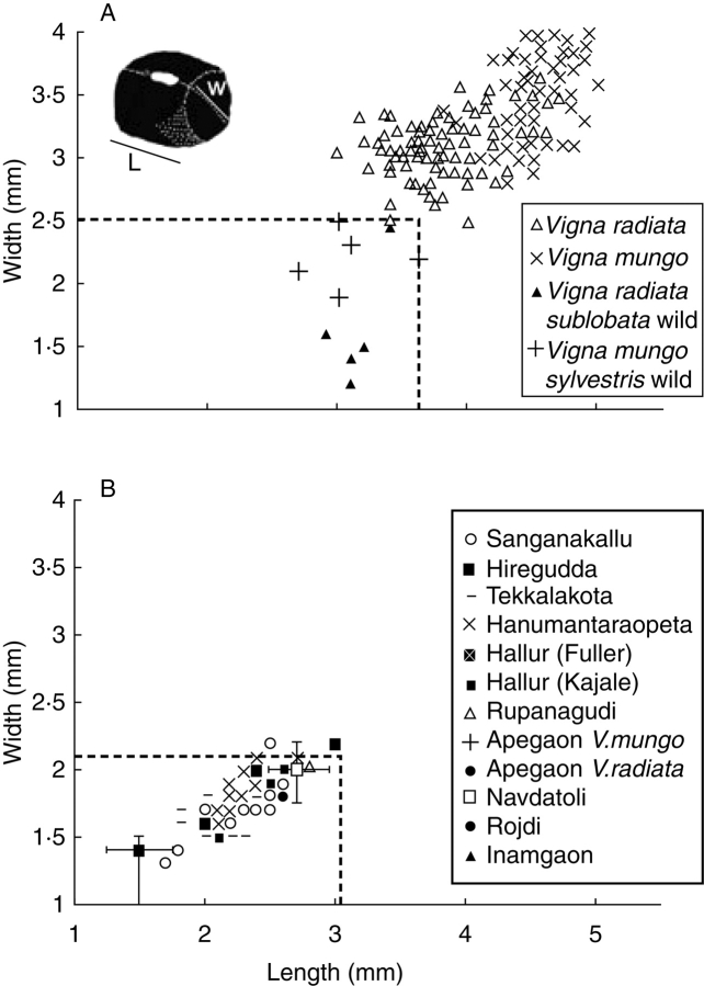 Fig. 12.