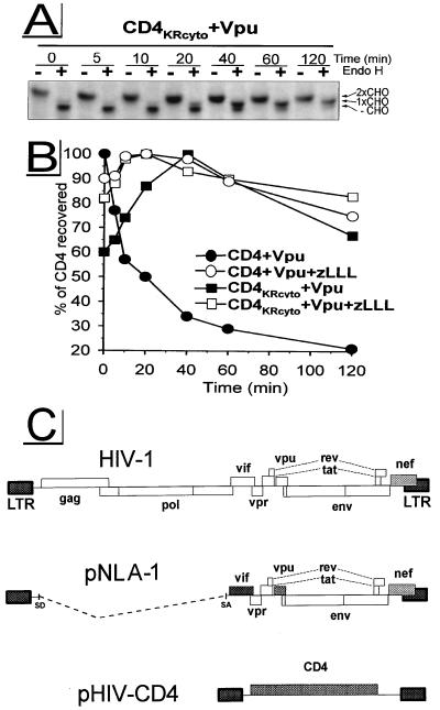 FIG. 6