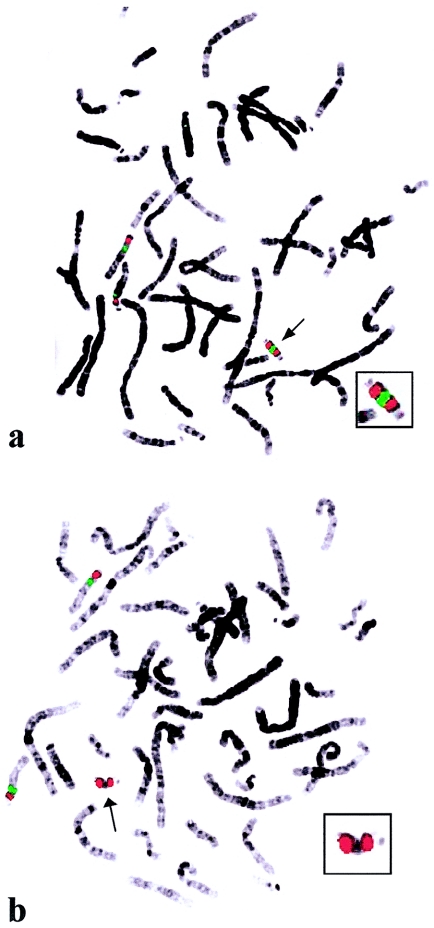 Figure  4