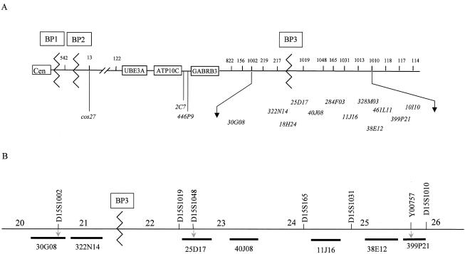 Figure  1